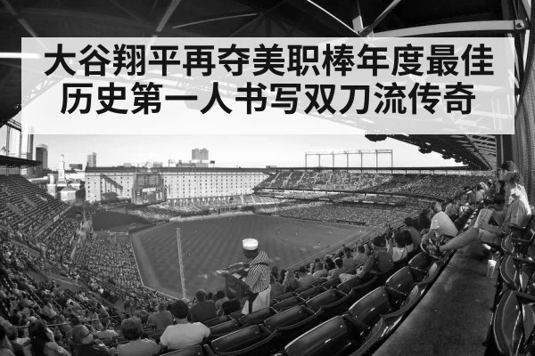 baseball stadium crowd